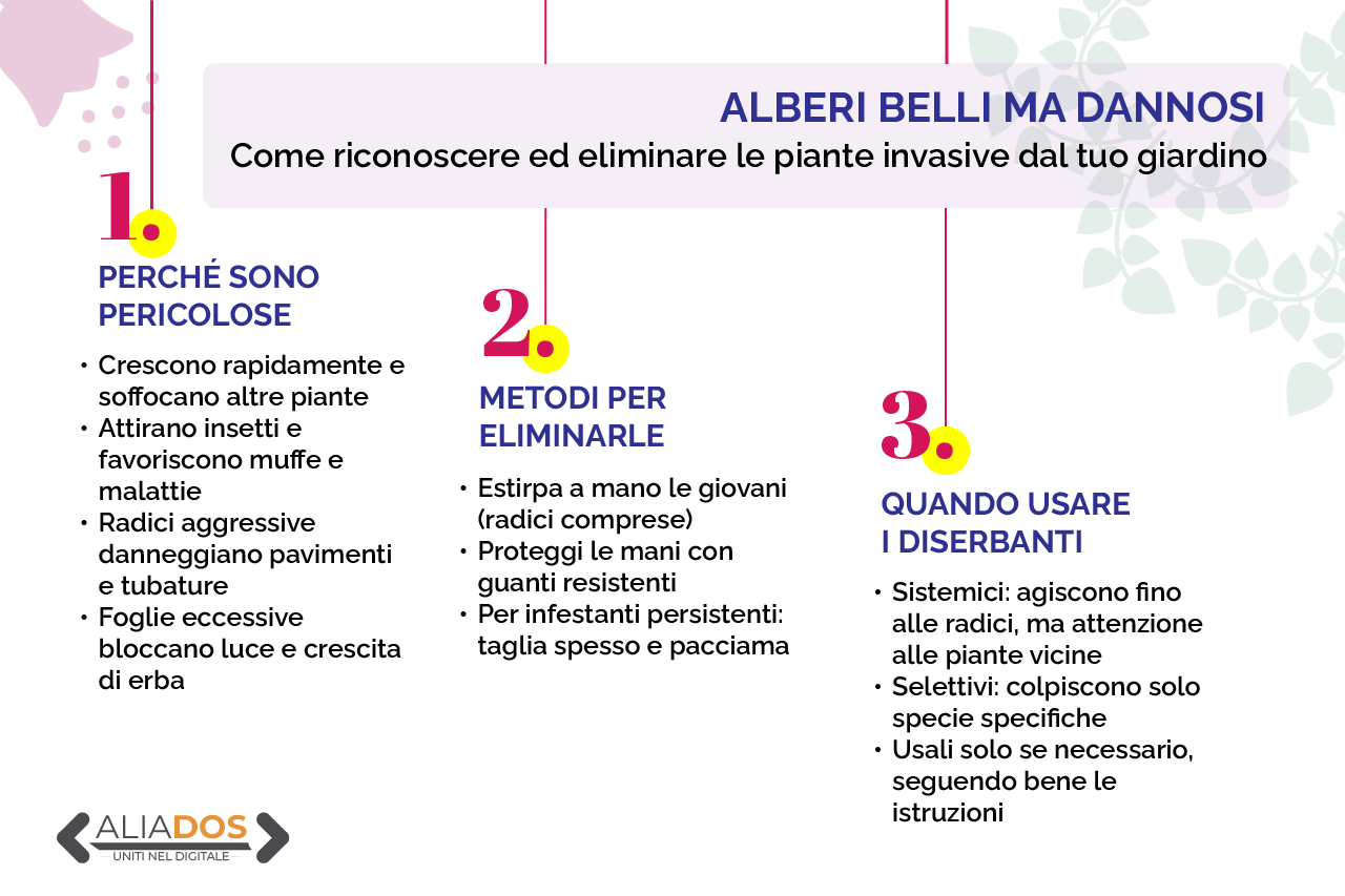 Immagine selezionata